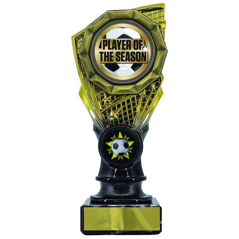 Shard Holder Trophy with Player of the Season 150mm – Gold/Black