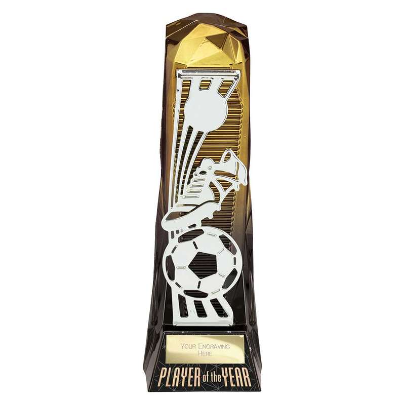 Shard Football Player of the Year Award