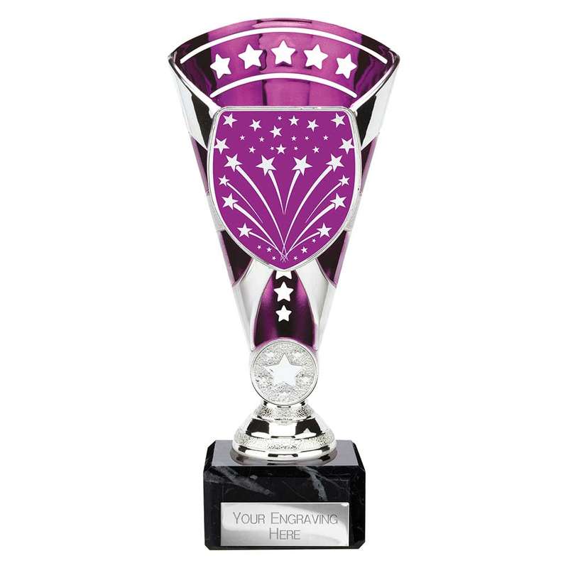 Cobra Star Multisport Cup Silver & Purpl